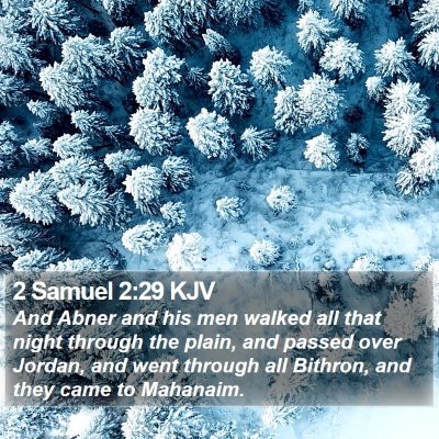 2 Samuel 2:29 KJV Bible Verse Image