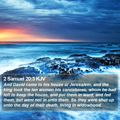 2 Samuel 20:3 KJV Bible Verse Image