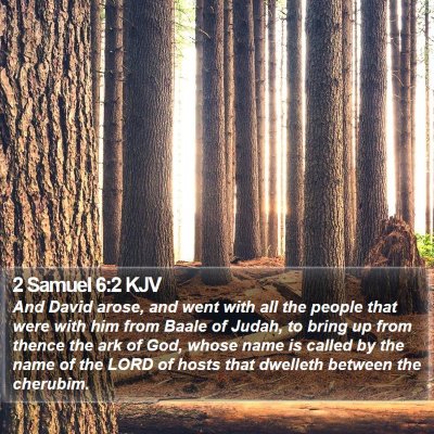 2 Samuel 6:2 KJV Bible Verse Image