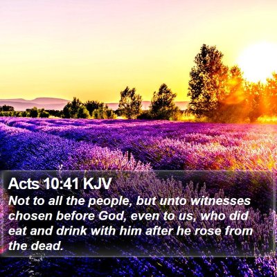 Acts 10:41 KJV Bible Verse Image