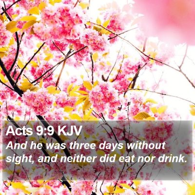 Acts 9:9 KJV Bible Verse Image