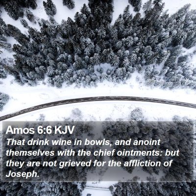 Amos 6:6 KJV Bible Verse Image