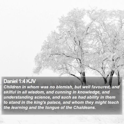 Daniel 1:4 KJV Bible Verse Image