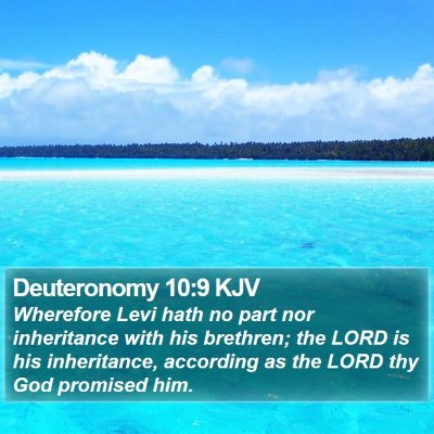 Deuteronomy 10:9 KJV Bible Verse Image