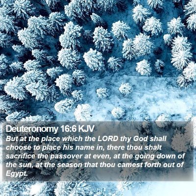 Deuteronomy 16:6 KJV Bible Verse Image