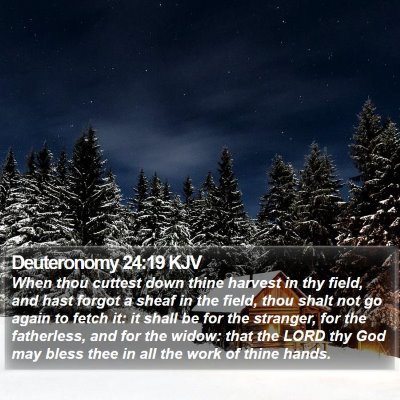 Deuteronomy 24:19 KJV Bible Verse Image