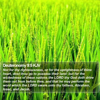 Deuteronomy 9:5 KJV Bible Verse Image