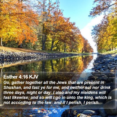 Esther 4:16 KJV Bible Verse Image