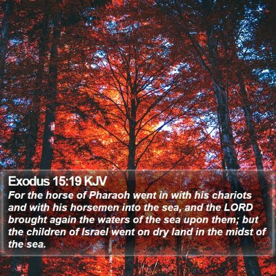 Exodus 15:19 KJV Bible Verse Image