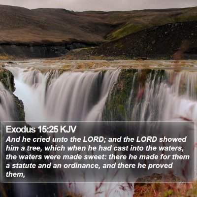 Exodus 15:25 KJV Bible Verse Image