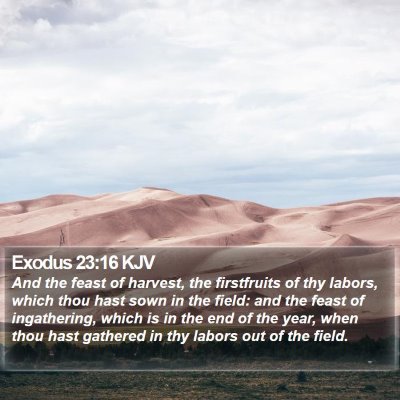 Exodus 23:16 KJV Bible Verse Image