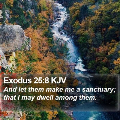 Exodus 25:8 KJV Bible Verse Image