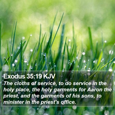 Exodus 35:19 KJV Bible Verse Image