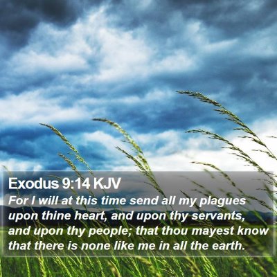 Exodus 9:14 KJV Bible Verse Image