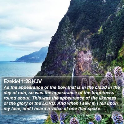 Ezekiel 1:28 KJV Bible Verse Image