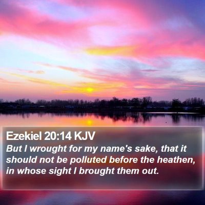 Ezekiel 20:14 KJV Bible Verse Image