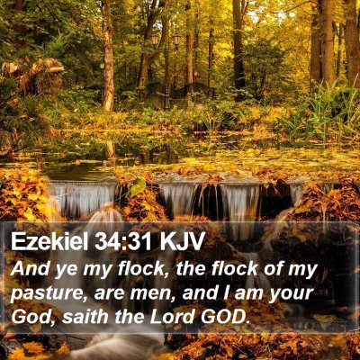 Ezekiel 34:31 KJV Bible Verse Image