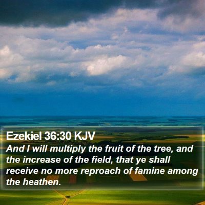 Ezekiel 36:30 KJV Bible Verse Image