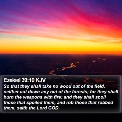 Ezekiel 39:10 KJV Bible Verse Image
