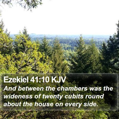 Ezekiel 41:10 KJV Bible Verse Image