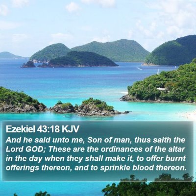 Ezekiel 43:18 KJV Bible Verse Image