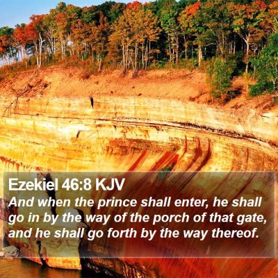 Ezekiel 46:8 KJV Bible Verse Image