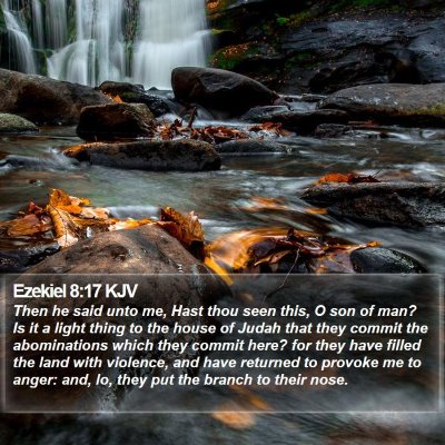 Ezekiel 8:17 KJV Bible Verse Image