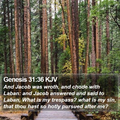 Genesis 31:36 KJV Bible Verse Image