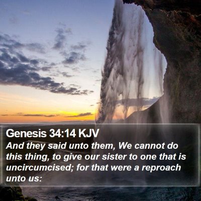 Genesis 34:14 KJV Bible Verse Image