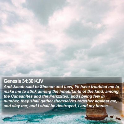 Genesis 34:30 KJV Bible Verse Image