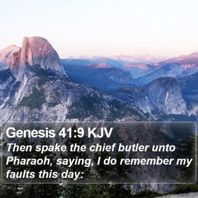 Genesis 41:9 KJV Bible Verse Image