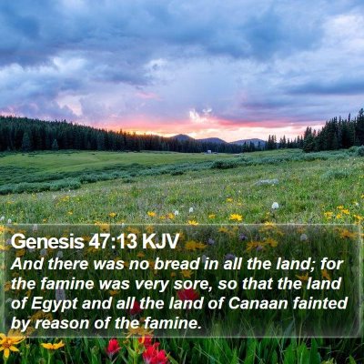 Genesis 47:13 KJV Bible Verse Image
