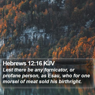 Hebrews 12:16 KJV Bible Verse Image