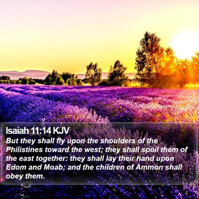 Isaiah 11:14 KJV Bible Verse Image