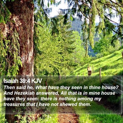 Isaiah 39:4 KJV Bible Verse Image