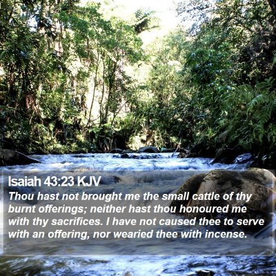 Isaiah 43:23 KJV Bible Verse Image