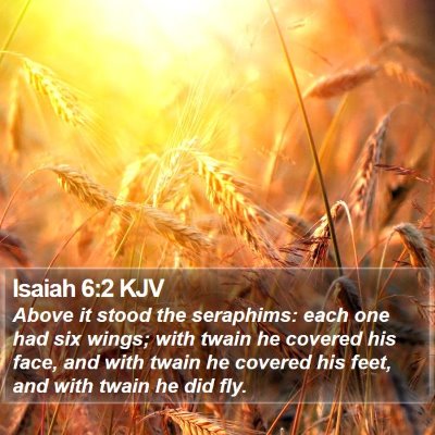 Isaiah 6:2 KJV Bible Verse Image