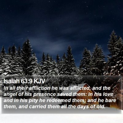 Isaiah 63:9 KJV Bible Verse Image