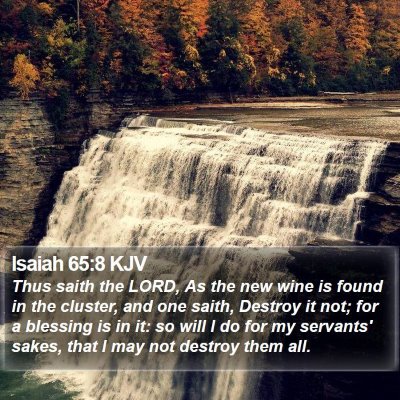 Isaiah 65:8 KJV Bible Verse Image