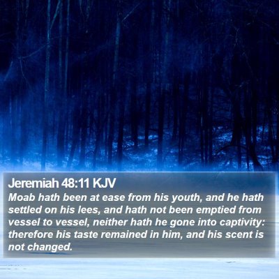 Jeremiah 48:11 KJV Bible Verse Image