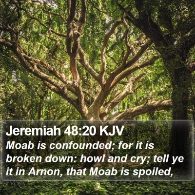 Jeremiah 48:20 KJV Bible Verse Image