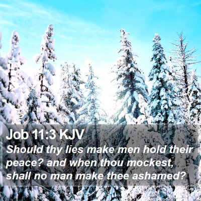 Job 11:3 KJV Bible Verse Image