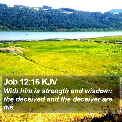 Job 12:16 KJV Bible Verse Image