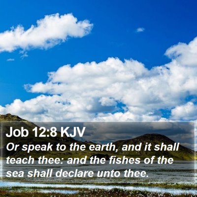 Job 12:8 KJV Bible Verse Image