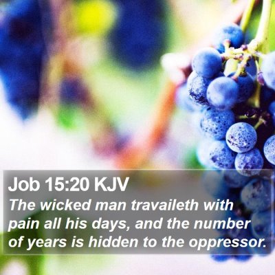 Job 15:20 KJV Bible Verse Image