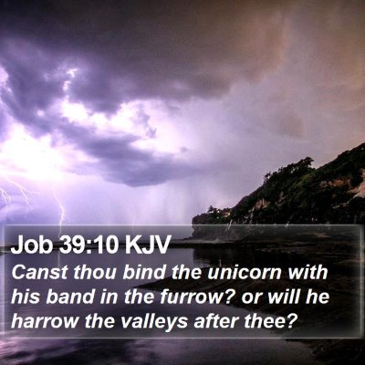 Job 39:10 KJV Bible Verse Image