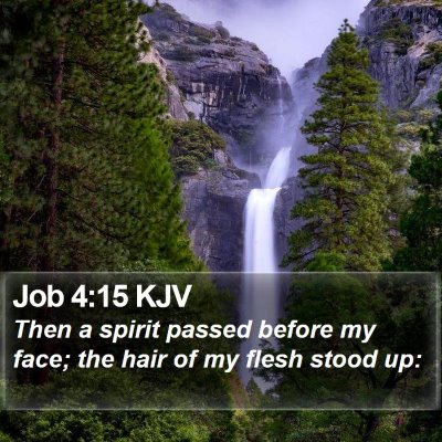 Job 4:15 KJV Bible Verse Image