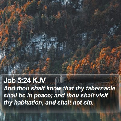 Job 5:24 KJV Bible Verse Image
