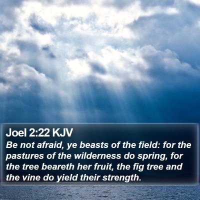 Joel 2:22 KJV Bible Verse Image
