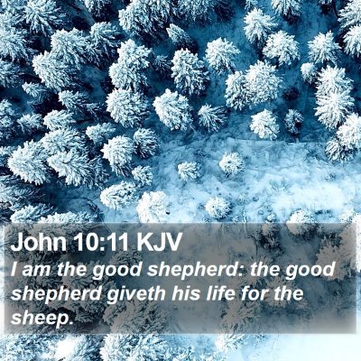 John 10:11 KJV Bible Verse Image